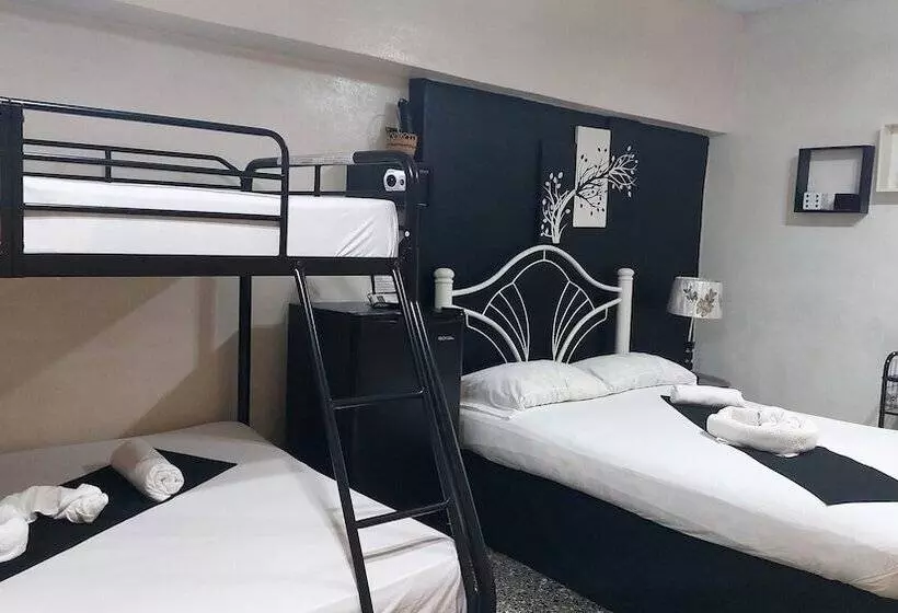 ペンション Hostal Solaire