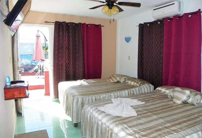 ペンション Villa Plata Tropical