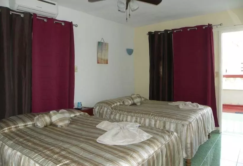 ペンション Villa Plata Tropical
