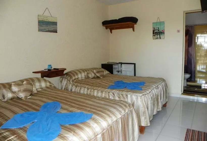 ペンション Villa Plata Tropical