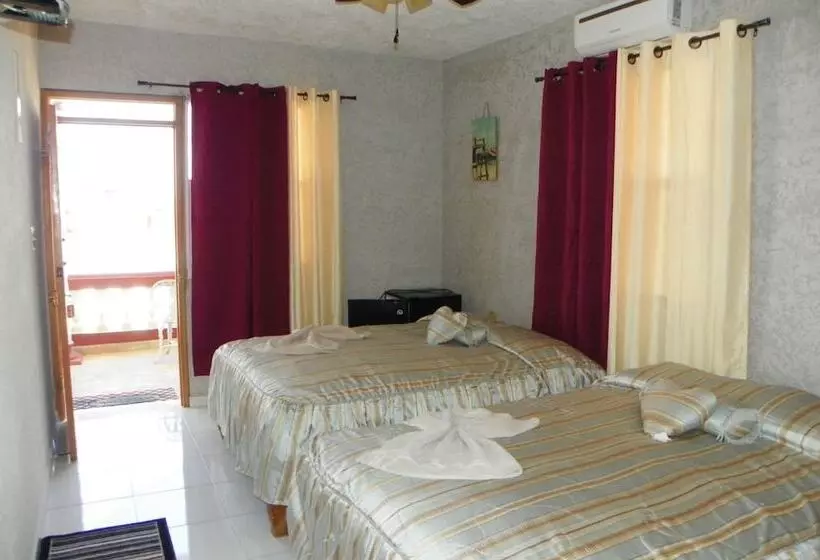 ペンション Villa Plata Tropical