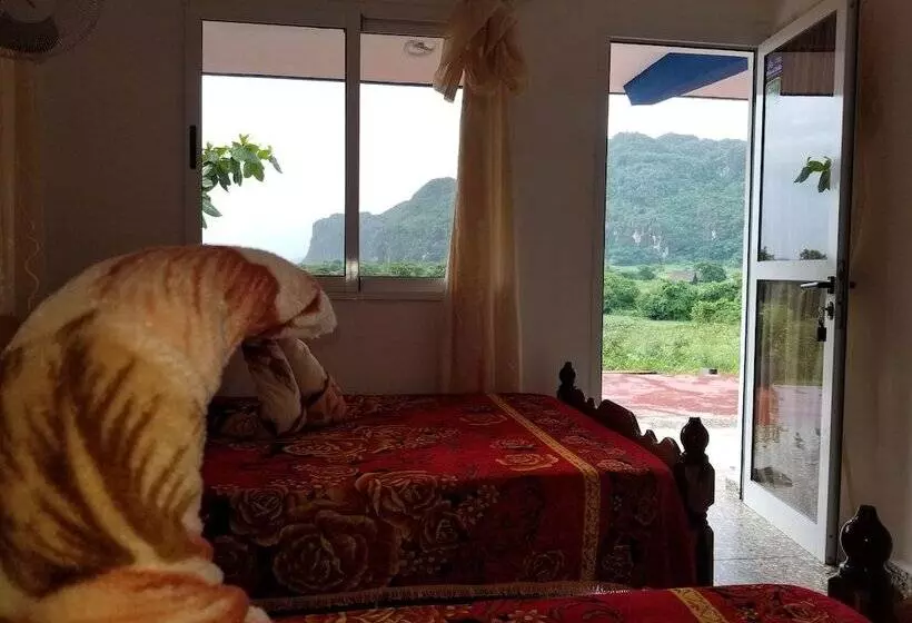 ペンション Villa Vista Al Valle De Viñales