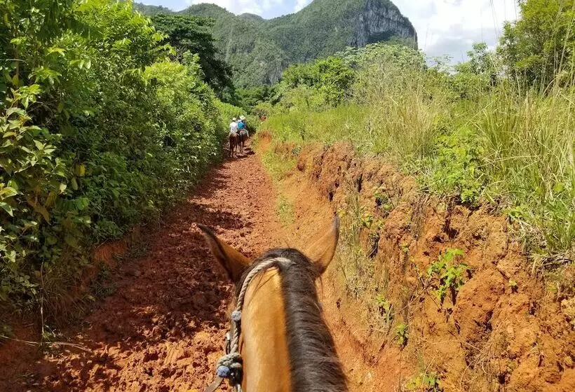 ペンション Villa Vista Al Valle De Viñales