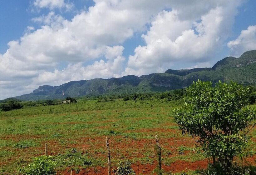 پانسیون Villa Vista Al Valle De Viñales