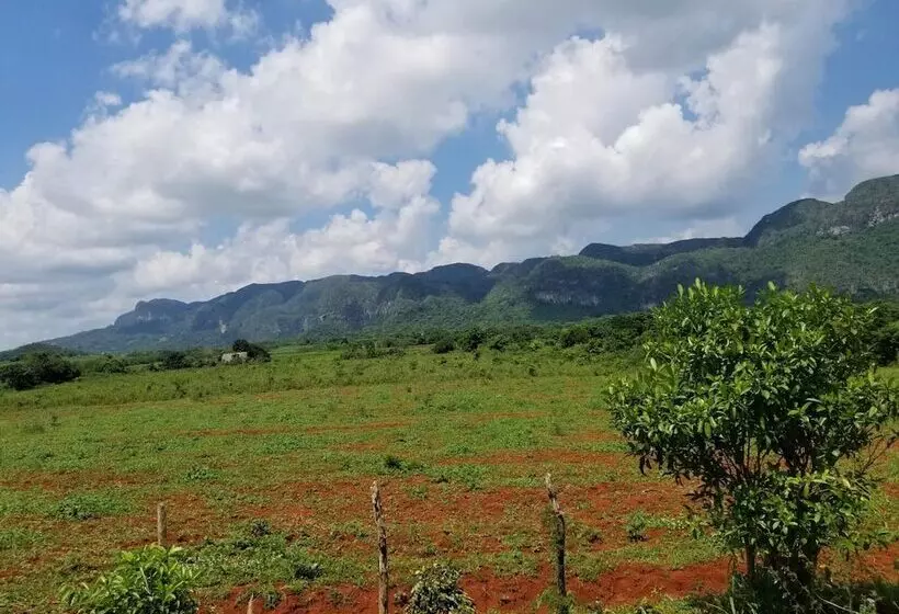 ペンション Villa Vista Al Valle De Viñales