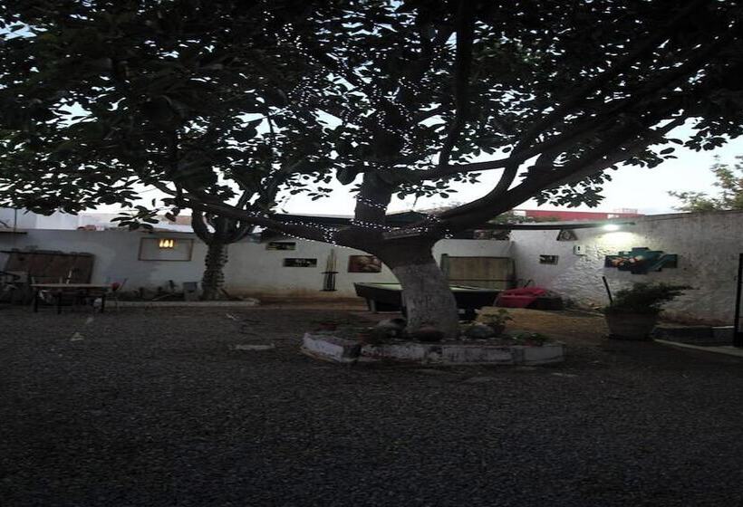 پانسیون Asarag Lodge, Mirlft Centre