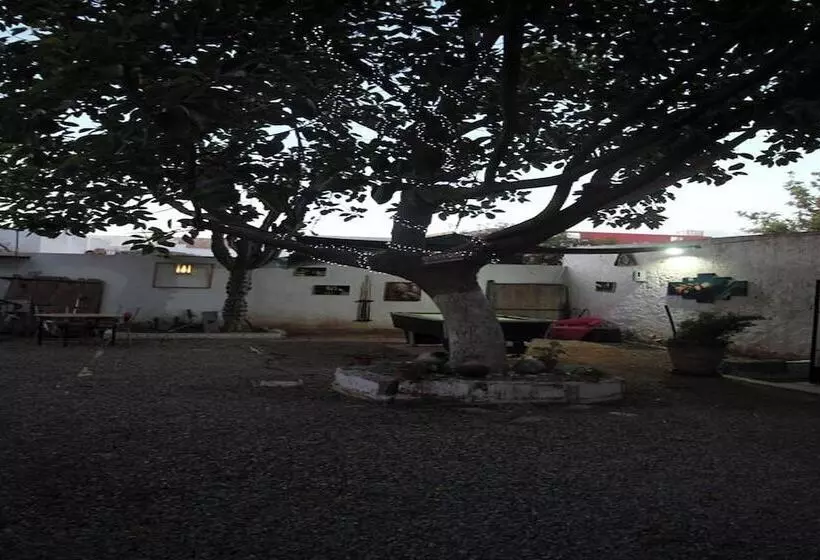 Majatalo Asarag Lodge, Mirlft Centre
