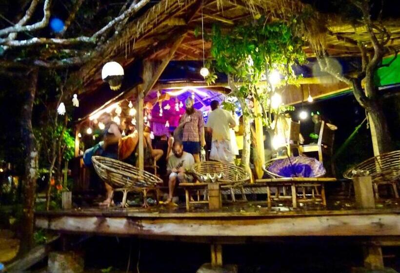 Hostel Dragonfly Guesthouse