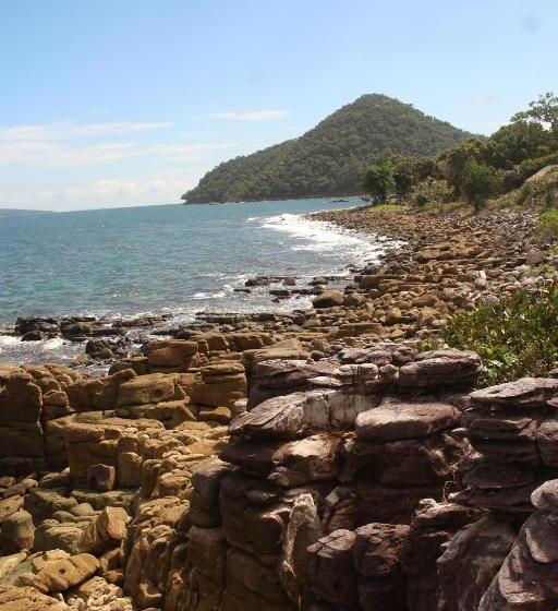 Hostel Dragonfly Guesthouse