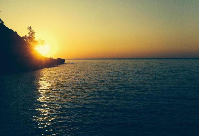 Hostel Dragonfly Guesthouse