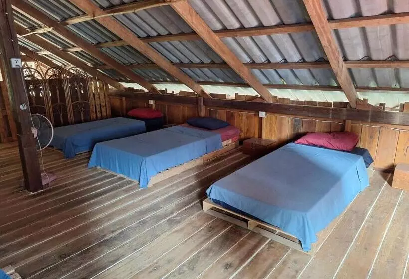 ユースホステル Dragonfly Guesthouse