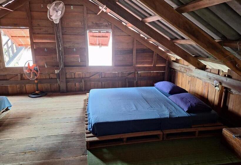 Hostel Dragonfly Guesthouse