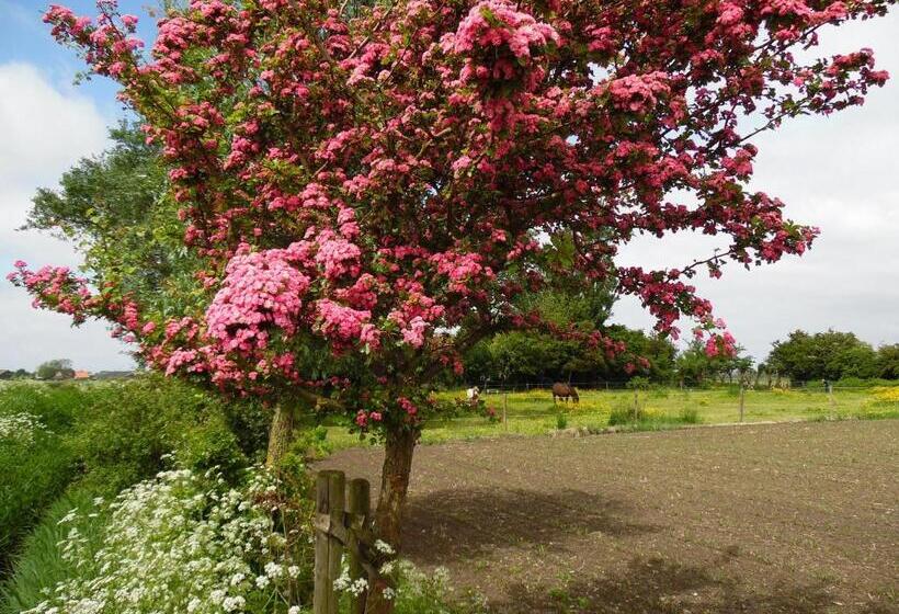 تختخواب و صبحانه Gastenverblijven Boerderij Het Driespan