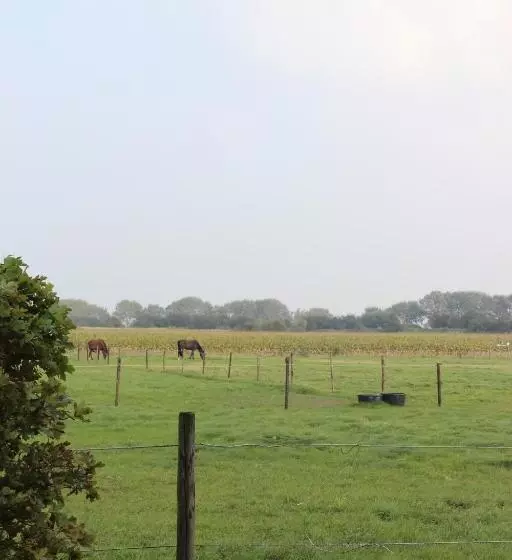 تختخواب و صبحانه Gastenverblijven Boerderij Het Driespan