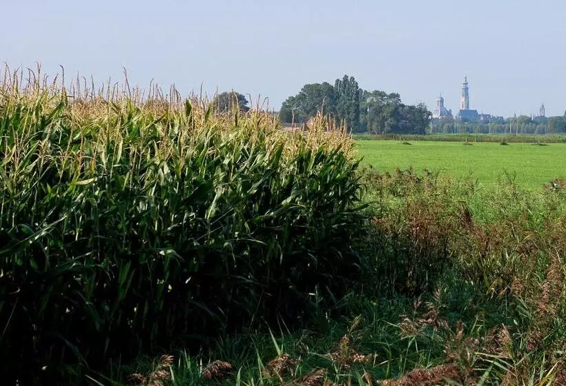 تختخواب و صبحانه Gastenverblijven Boerderij Het Driespan