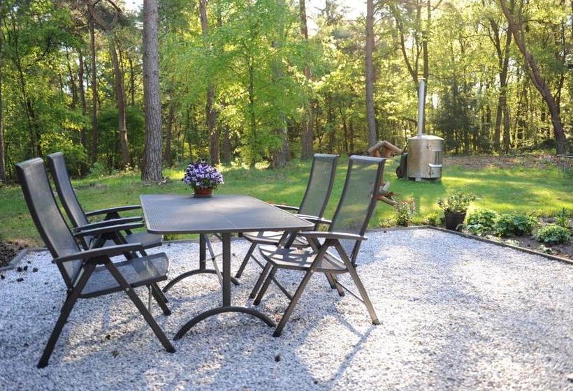 Bed and Breakfast Maupertuus Bennekom