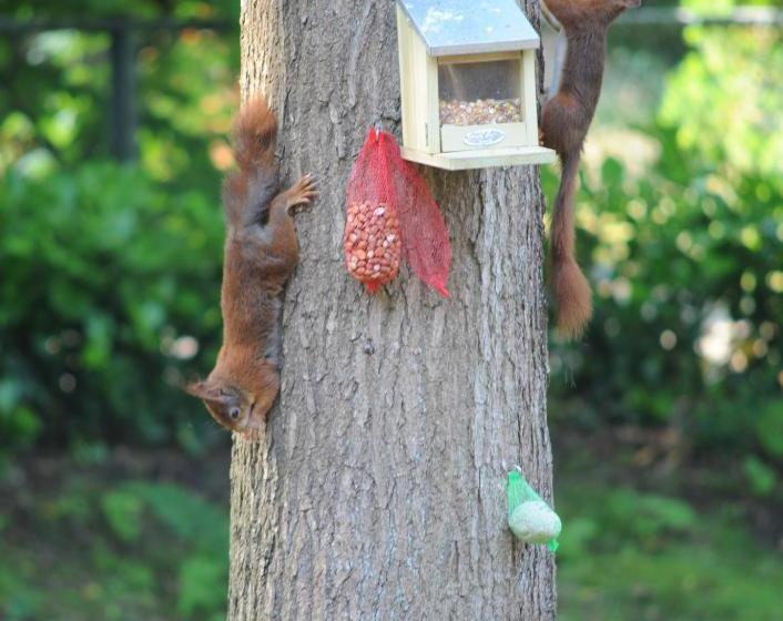 Bed and Breakfast Maupertuus Bennekom