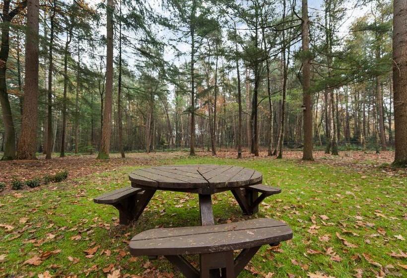 Bed and Breakfast Maupertuus Bennekom