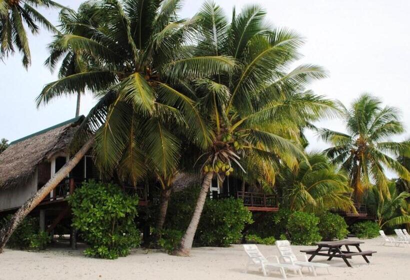 住宿加早餐 Paradise Cove Lodge