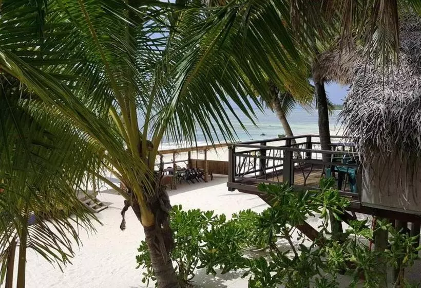 تختخواب و صبحانه Paradise Cove Lodge