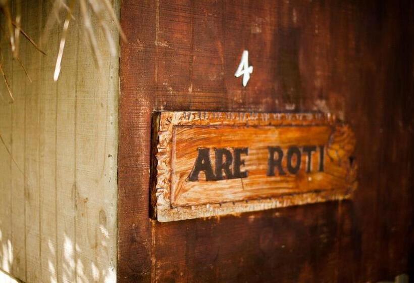 住宿加早餐 Paradise Cove Lodge