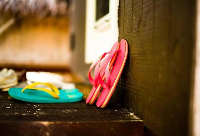 住宿加早餐 Paradise Cove Lodge