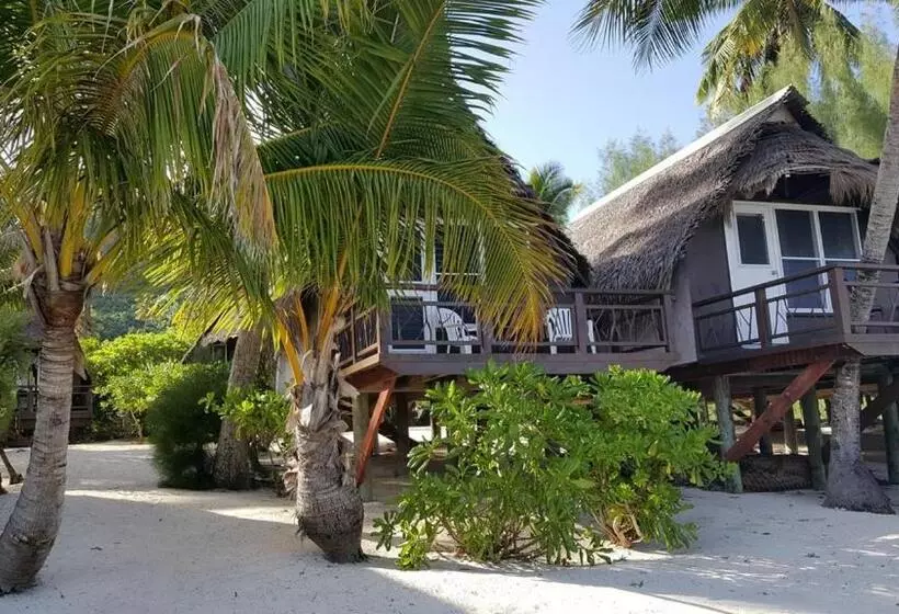 تختخواب و صبحانه Paradise Cove Lodge