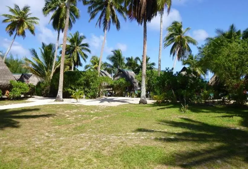 تختخواب و صبحانه Paradise Cove Lodge