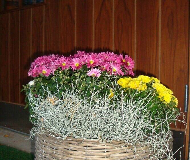 Cronin S Guesthouse Bed & Breakfast