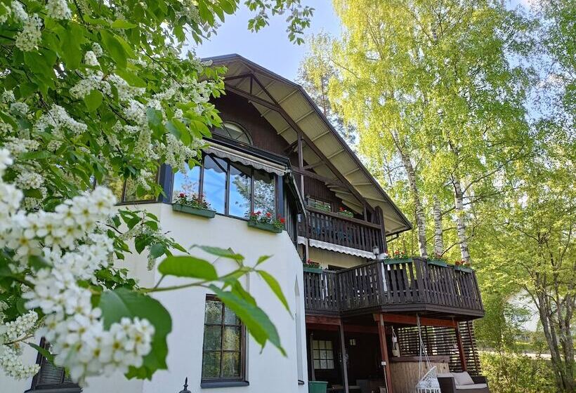 Cronin S Guesthouse Bed & Breakfast