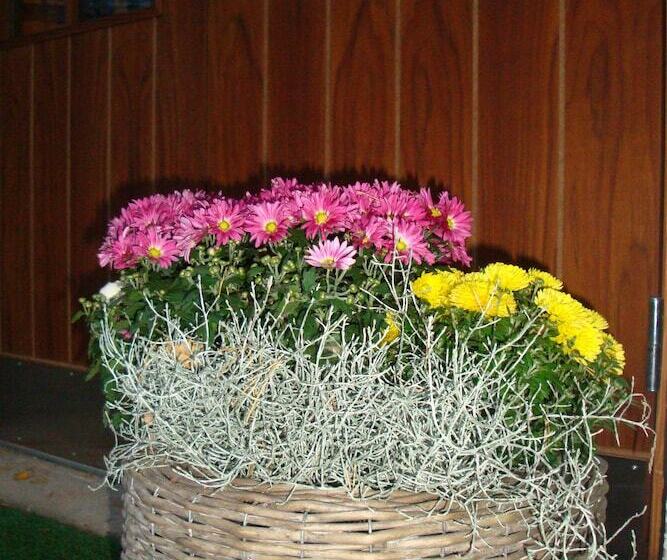 Cronin S Guesthouse Bed & Breakfast