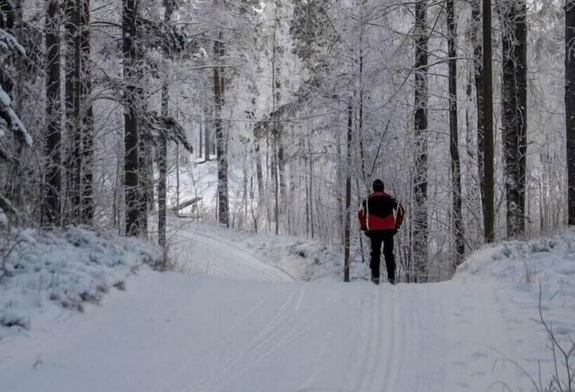 Cronin S Guesthouse Bed & Breakfast