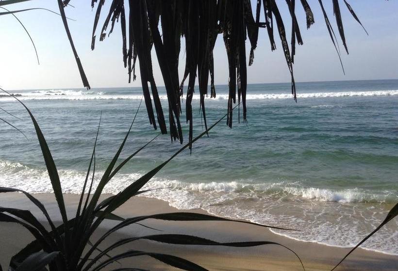 Курорт Plantation Surf Inn & Restaurant