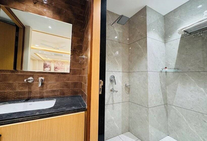 Отель Satya Shree