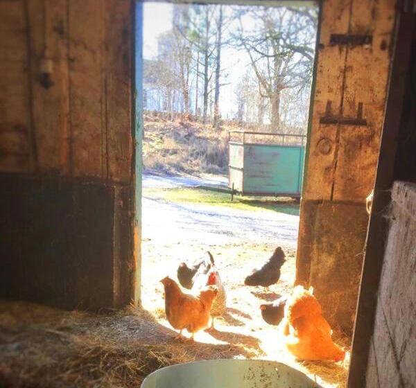 Отель Farm Stay B & B