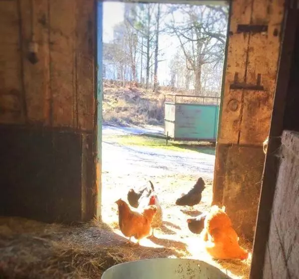 ホテル Farm Stay B & B