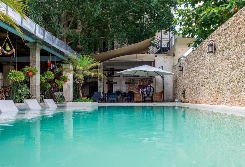 Szálloda Hostal Nojoch Che