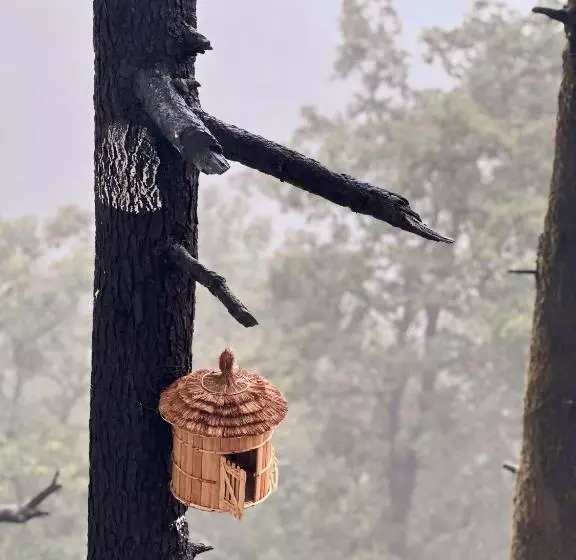 ホテル The Coverpage Boutique Stays Mussoorie