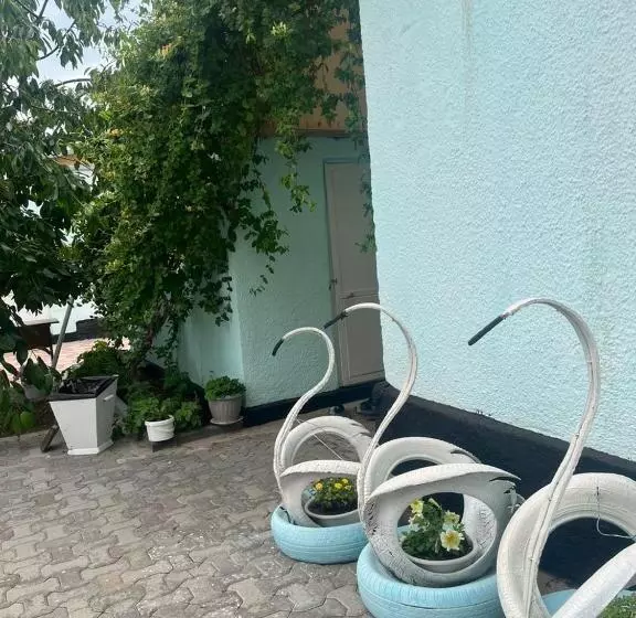 پانسیون у назгули