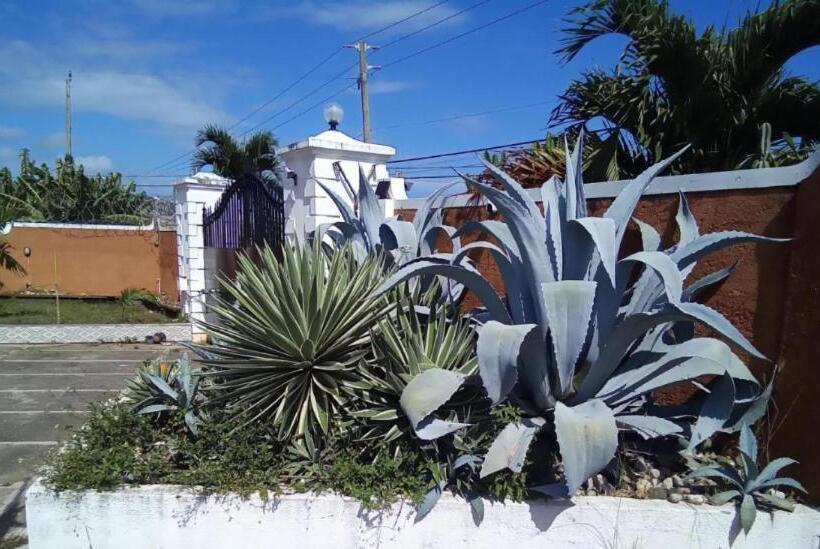 پانسیون Comfort Rooms