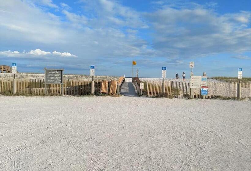 Sunset Harbor The Palms