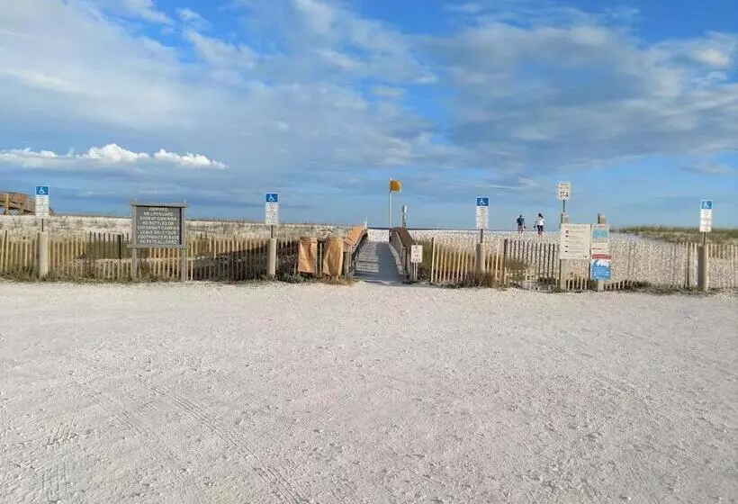 Sunset Harbor The Palms