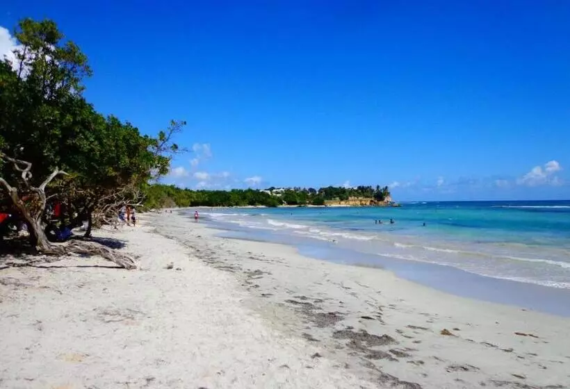 تختخواب و صبحانه Chambres D Hotes Du Moulin De Saint Félix Chambre Iguana