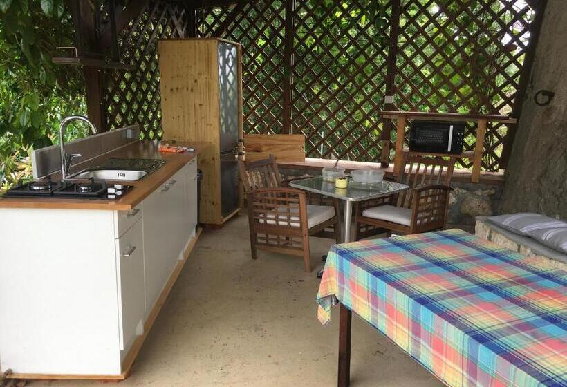 تختخواب و صبحانه Chambres D Hotes Du Moulin De Saint Félix Chambre Iguana