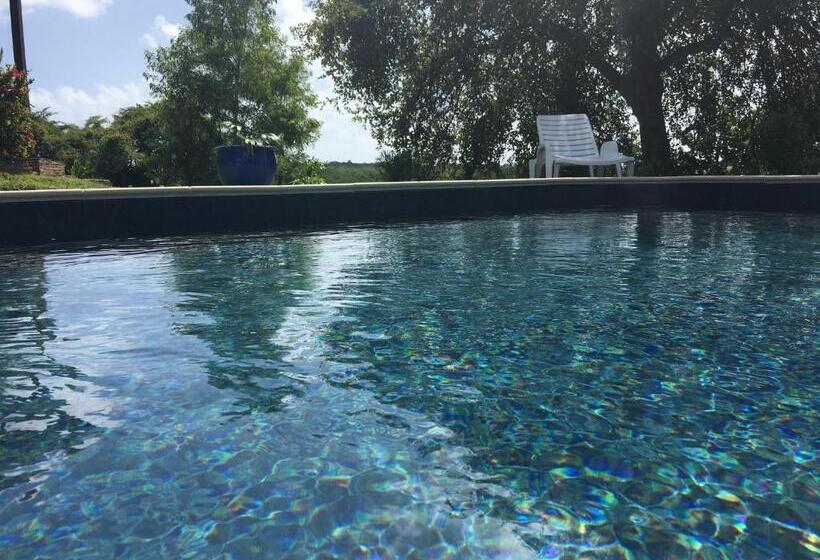 تختخواب و صبحانه Chambres D Hotes Du Moulin De Saint Félix Chambre Iguana