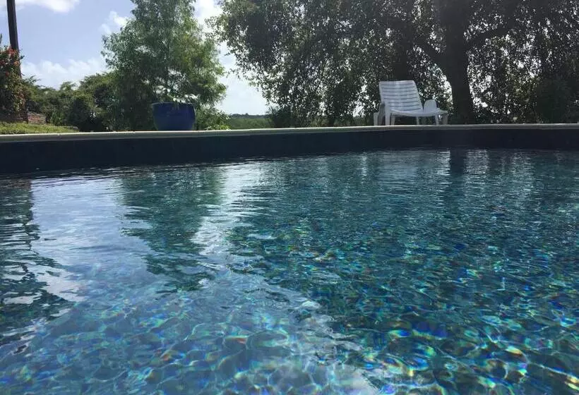 تختخواب و صبحانه Chambres D Hotes Du Moulin De Saint Félix Chambre Iguana