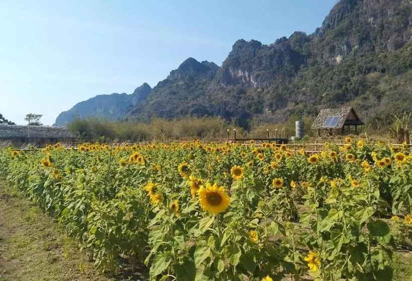 Aamiaismajoitus (B&B) Cool Pool Bungalow