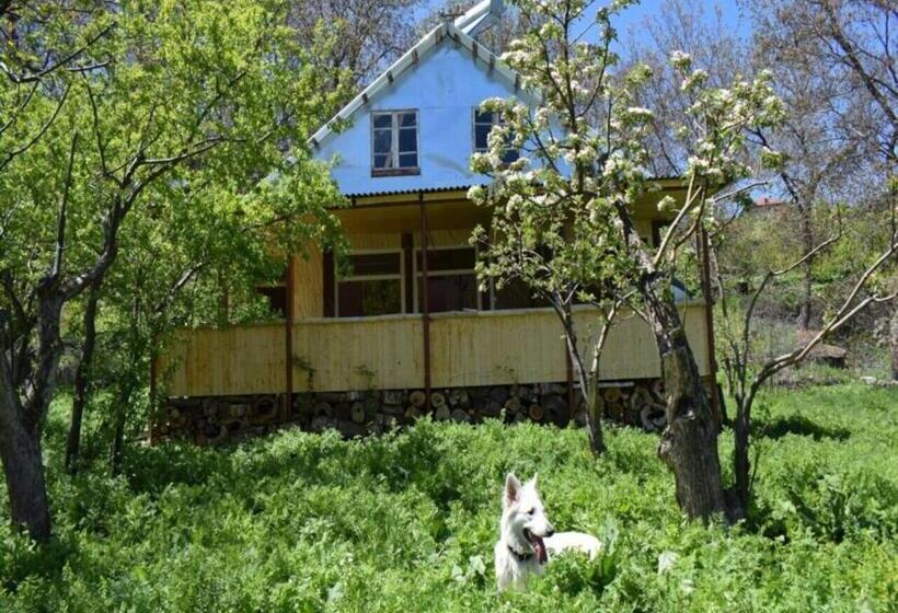 Pensió Benson Adventures Resort