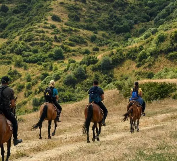 Majatalo Benson Adventures Resort