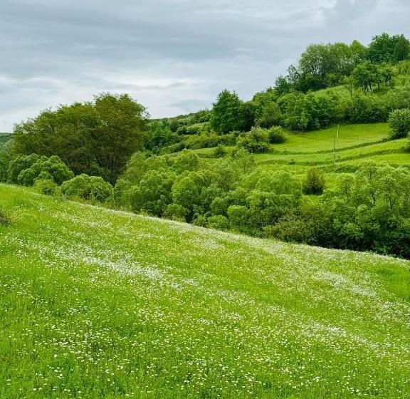 Pensão Evenimente Edelweiss